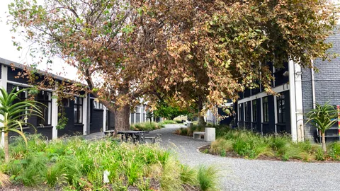 76 White Road, Retreat